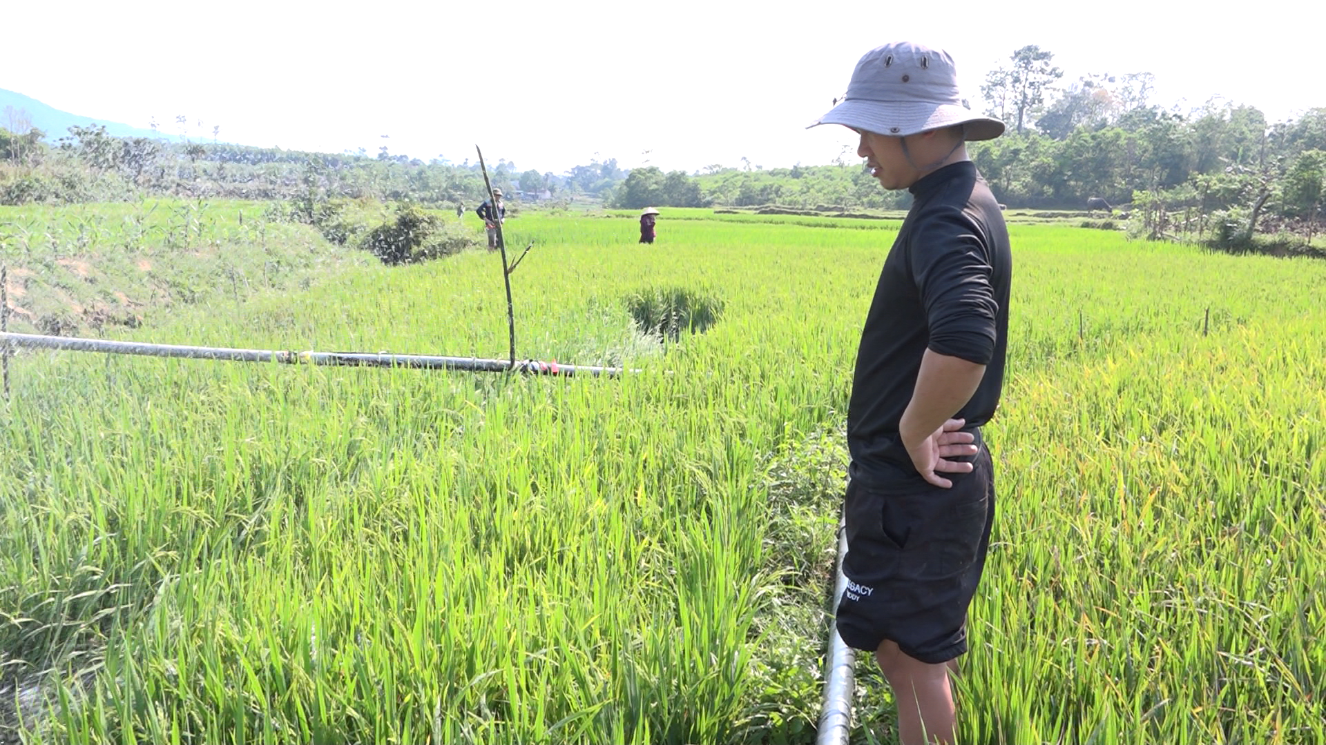 Ảnh chụp m&agrave;n h&igrave;nh 2026-04-08 105555.png