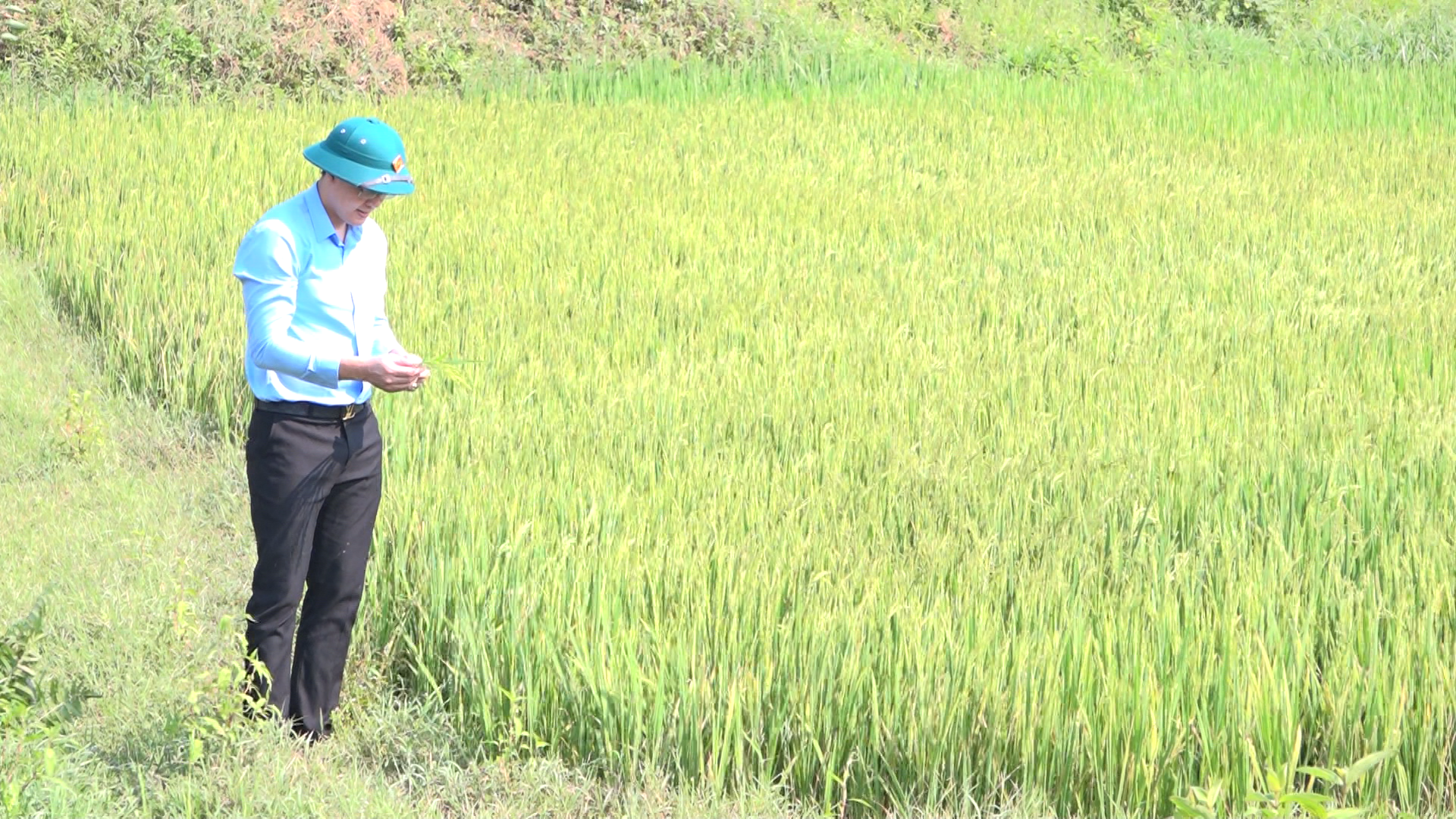 Ảnh chụp m&agrave;n h&igrave;nh 2026-04-08 105812.png