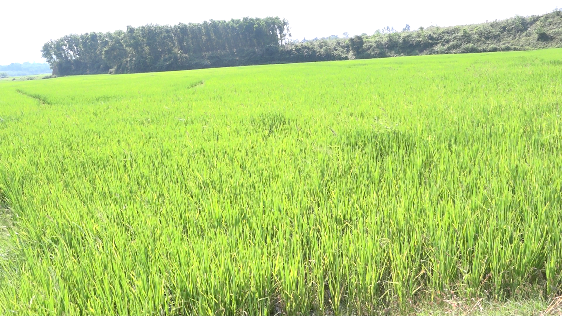 Ảnh chụp m&agrave;n h&igrave;nh 2026-04-08 110145.png