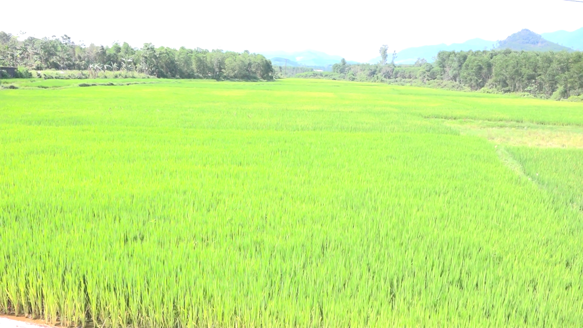 Ảnh chụp m&agrave;n h&igrave;nh 2026-04-08 110123.png