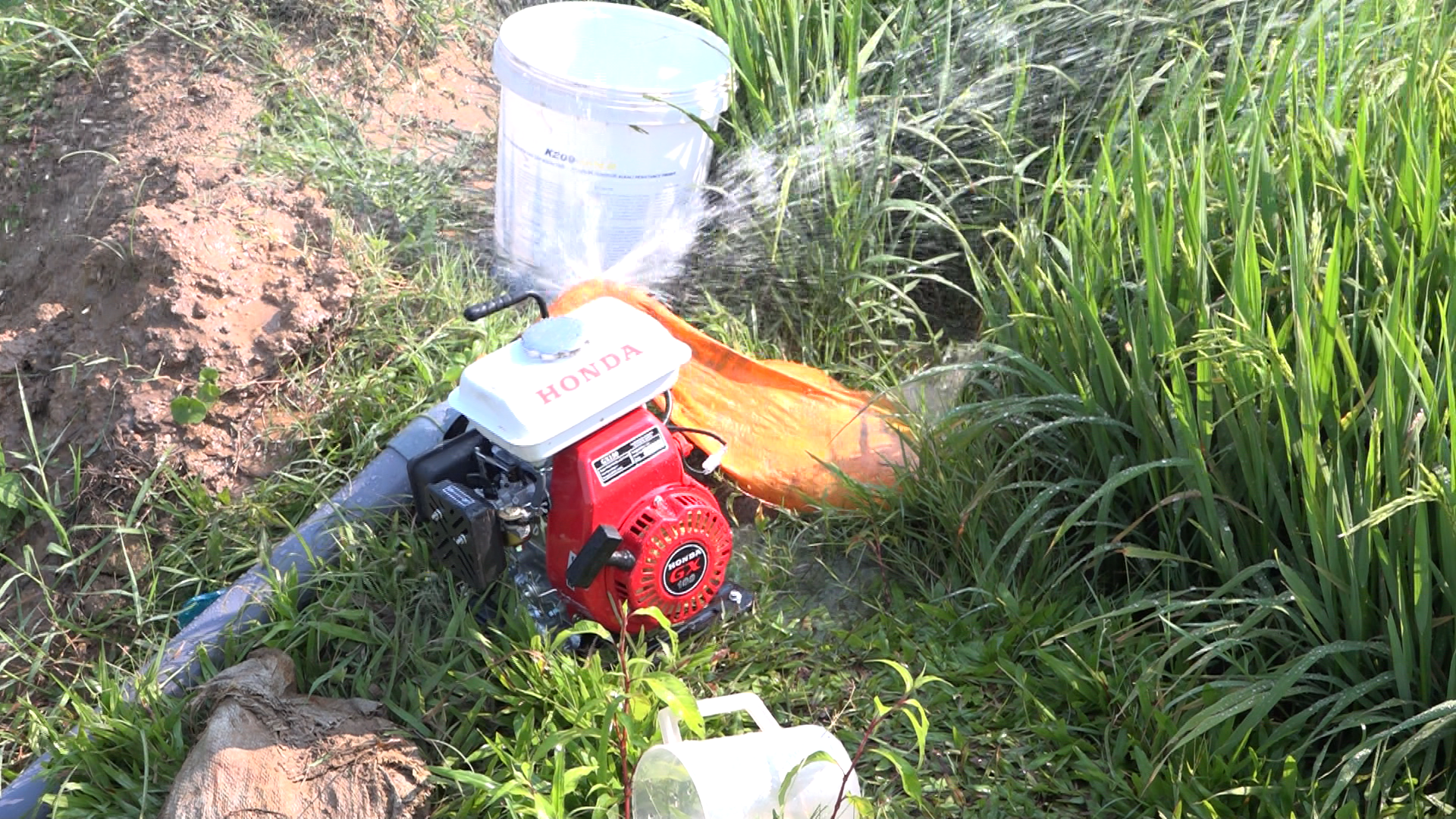 Ảnh chụp m&agrave;n h&igrave;nh 2026-04-08 105540.png