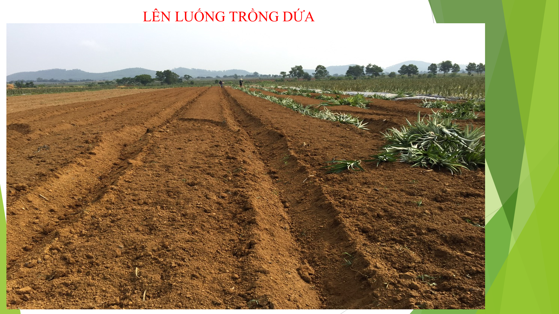 Ảnh chụp m&agrave;n h&igrave;nh 2025-12-23 140121.png