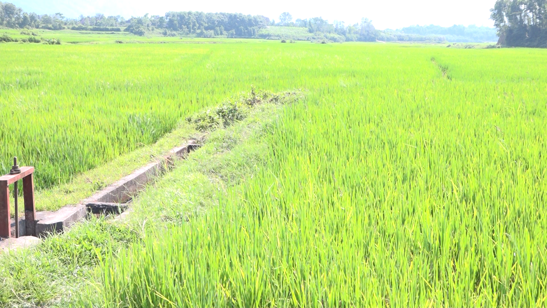 Ảnh chụp m&agrave;n h&igrave;nh 2026-04-08 110215.png