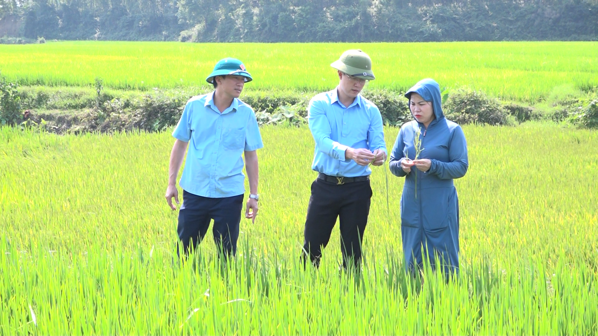 Phòng Kinh tế xã Kỳ Thượng chủ động kiểm tra tình hình sản xuất Lúa vụ Xuân 2026