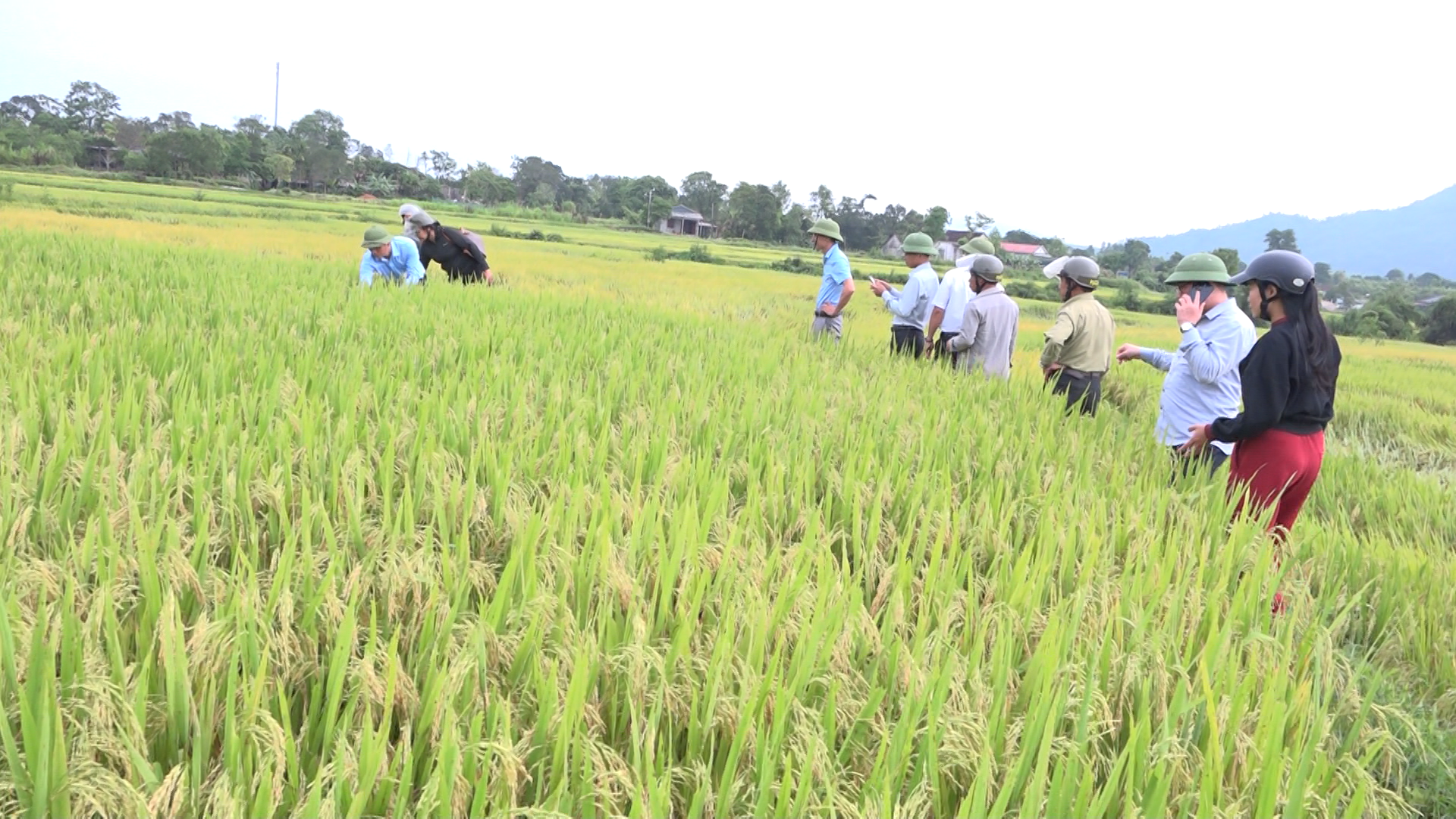 Ảnh chụp m&agrave;n h&igrave;nh 2026-05-05 152859.png
