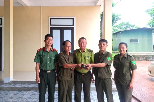 Người dân xã Kỳ Thượng tự nguyện giao nộp cá thể Rùa hộp núi vàng thuộc nhóm IIB