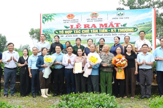 Xã Kỳ Thượng ra mắt Tổ hợp tác chè Tân Tiến