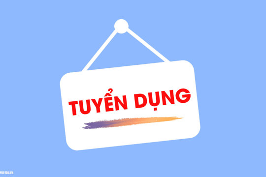UBND xã Kỳ Thượng tuyển dụng viên chức đơn vị sự nghiệp trực thuộc UBND xã