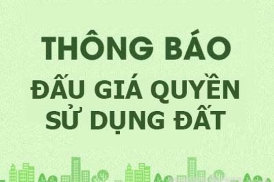 Đấu giá 49 lô đất vùng quy hoạch ở xã Kỳ Thượng 