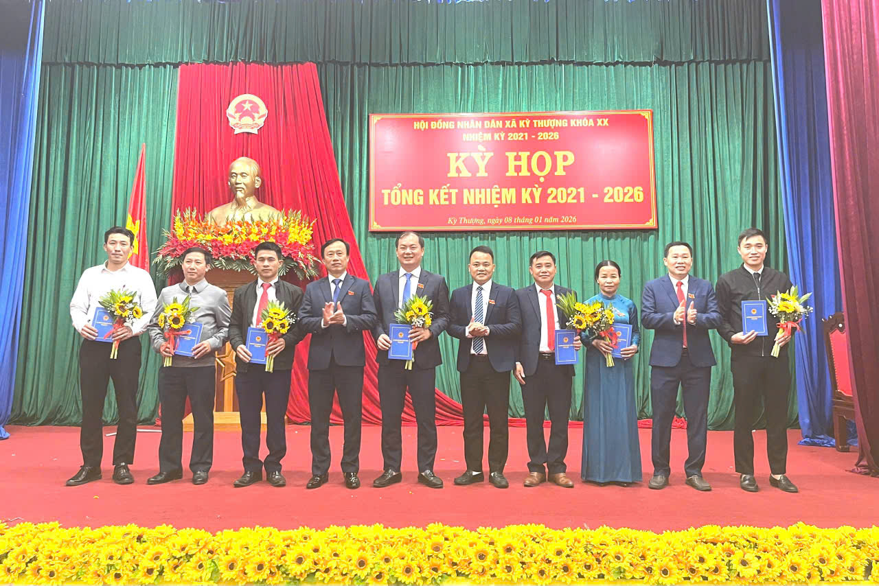 TDB SO 5.jpg
