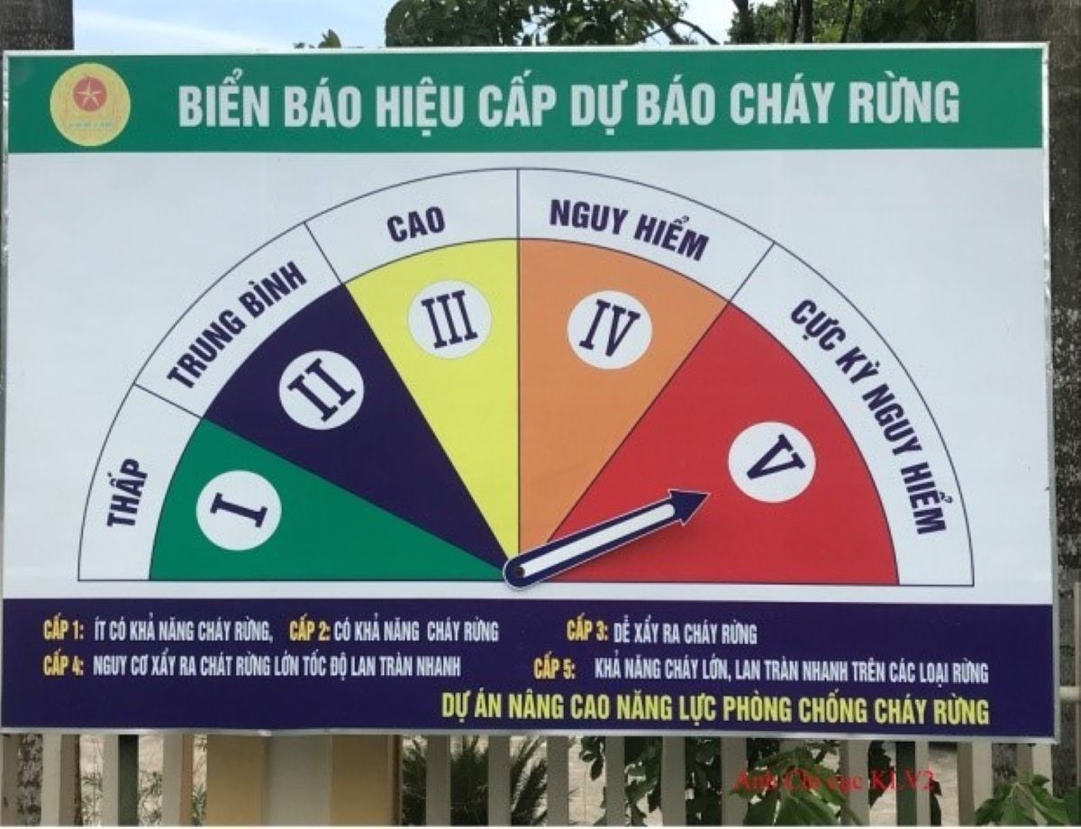 ảnh 4-1.jpg
